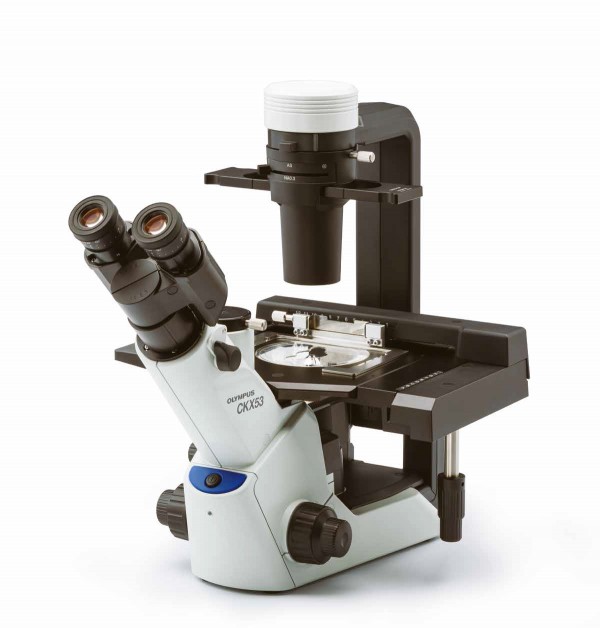 Microscop inversat de laborator, pentru aplicatii de rutina CKX53
